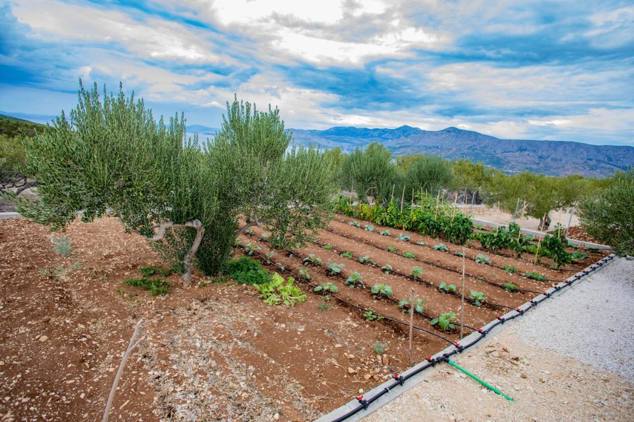 Opg Villa Meri Pucisca Dış mekan fotoğraf